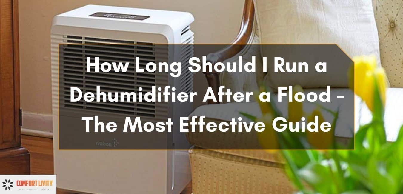 How Long Should I Run a Dehumidifier After a Flood