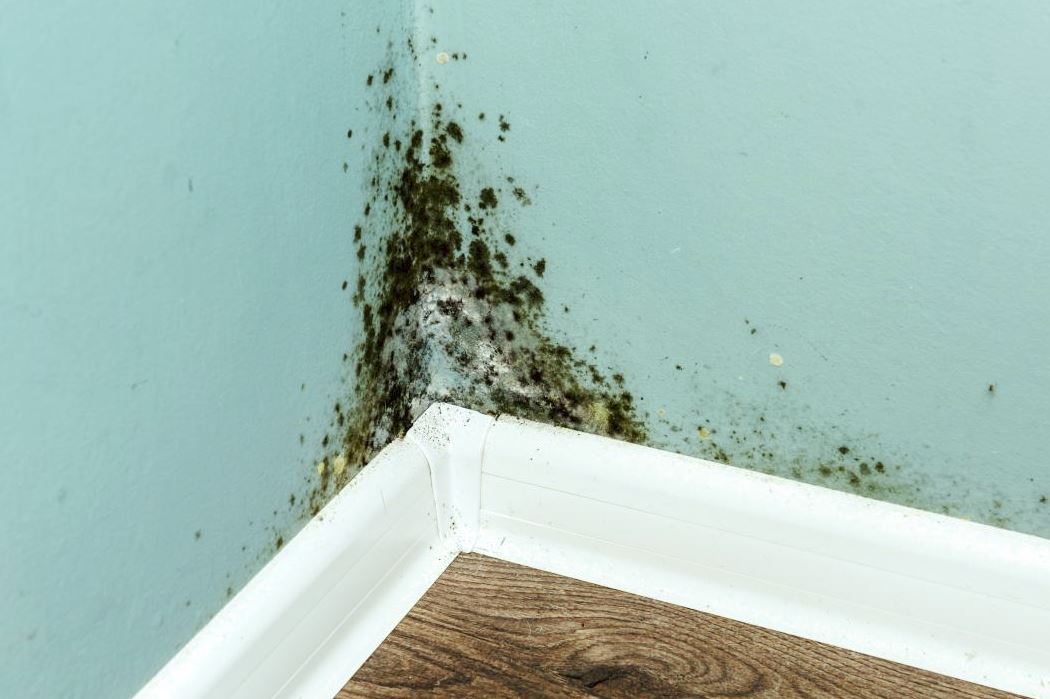 8 Reasons Why Bad Smell Coming From One Vent In House - (Easy Fix)